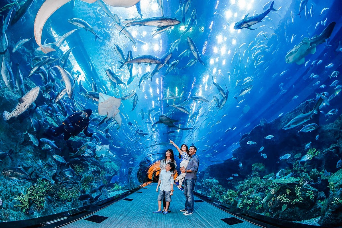 Dubai Mall, acuario, Burj Khalifa y fuentes