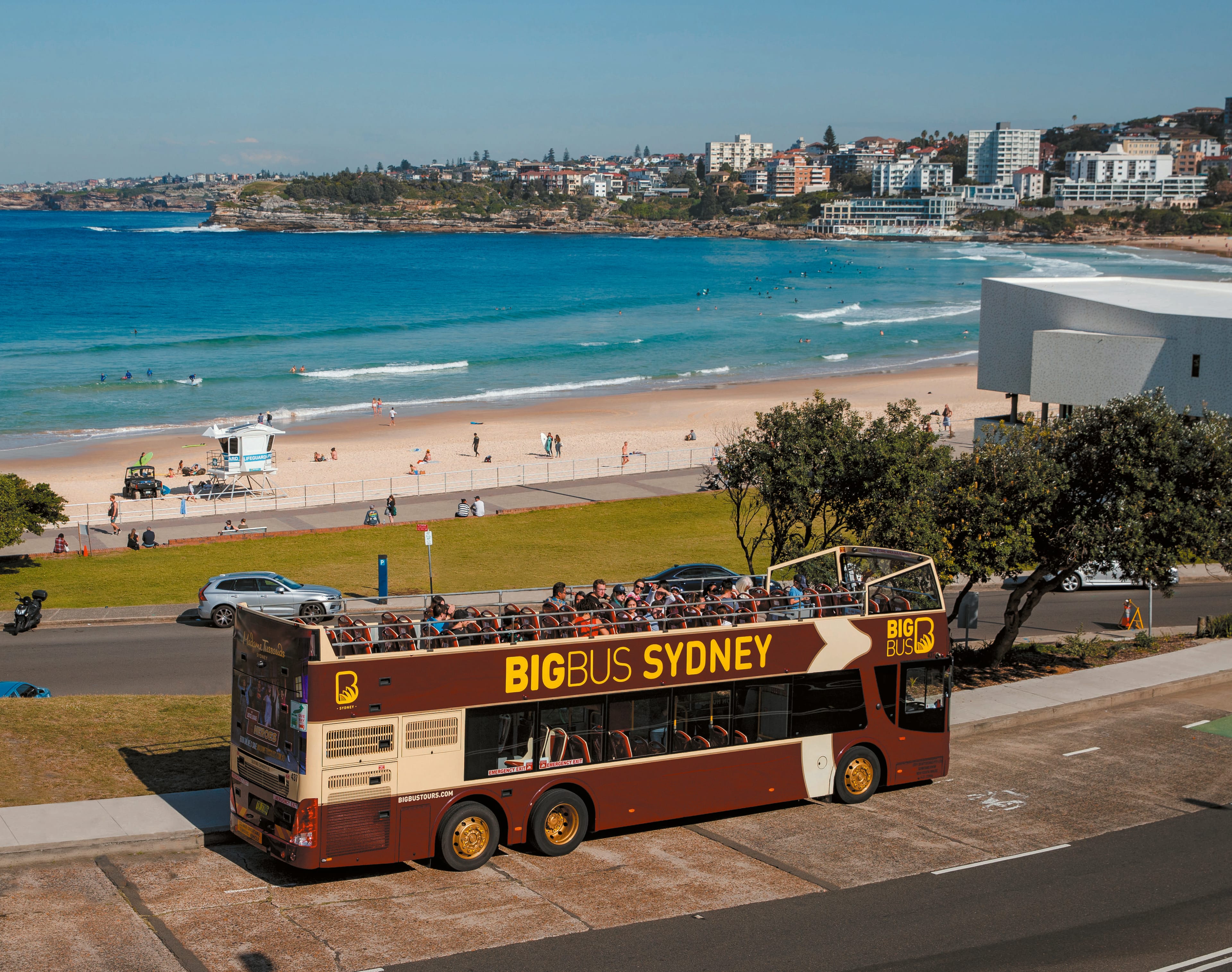 Big Bus Sydney 24 horas con paradas libres