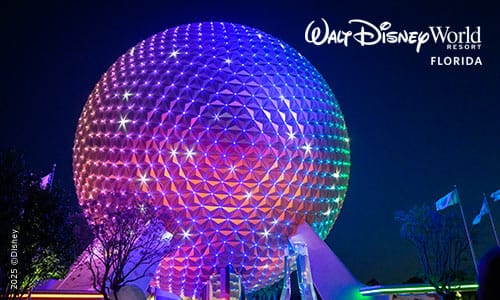 Disney EPCOT - Ticket de 1 día