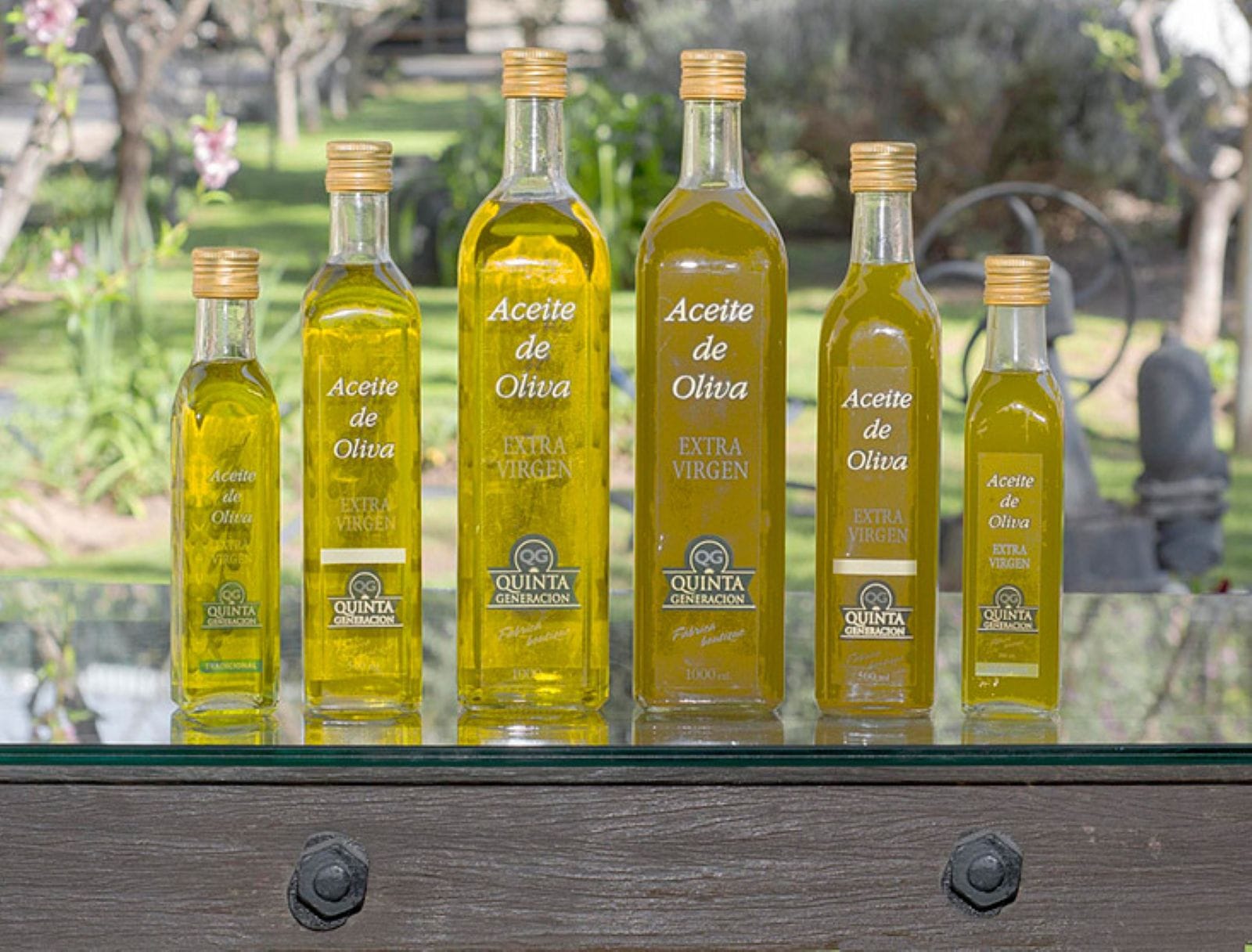 Vinhos e azeitonas em Mendoza