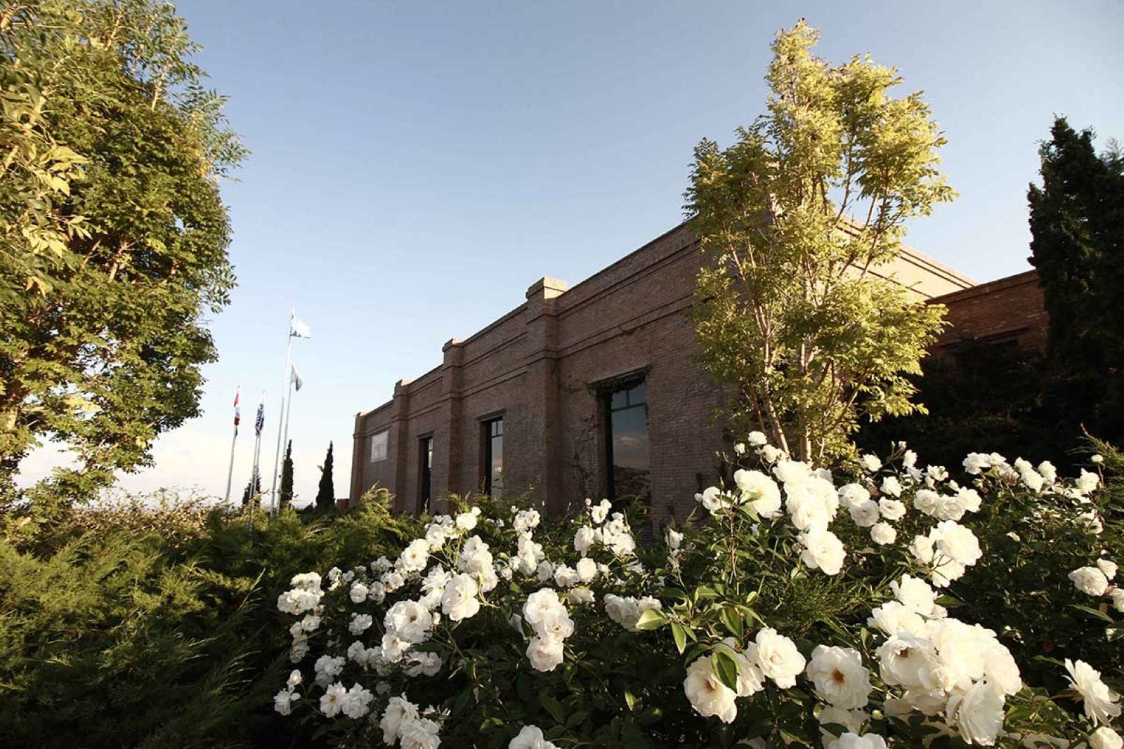Uco Valley: Tastings and Gourmet Lunch