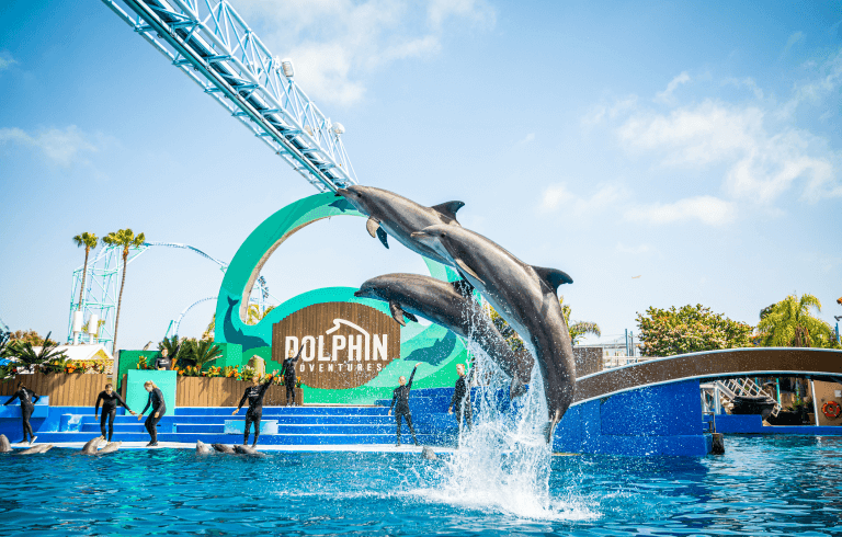 SeaWorld San Diego Park - Ticket