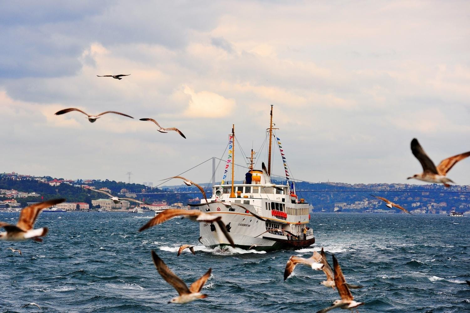Excursión a las Islas Príncipe