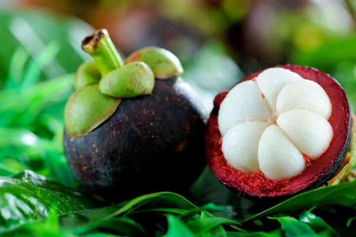 Cata guiada de frutas tropicales