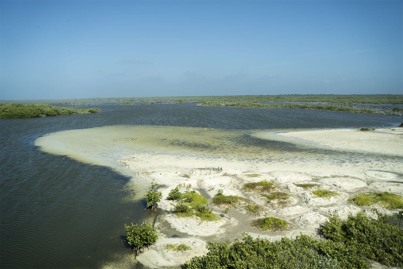 Excursión en Jeep a Punta Sur