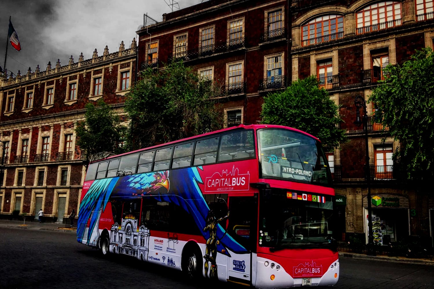 Recorrido nocturno en Capital Bus