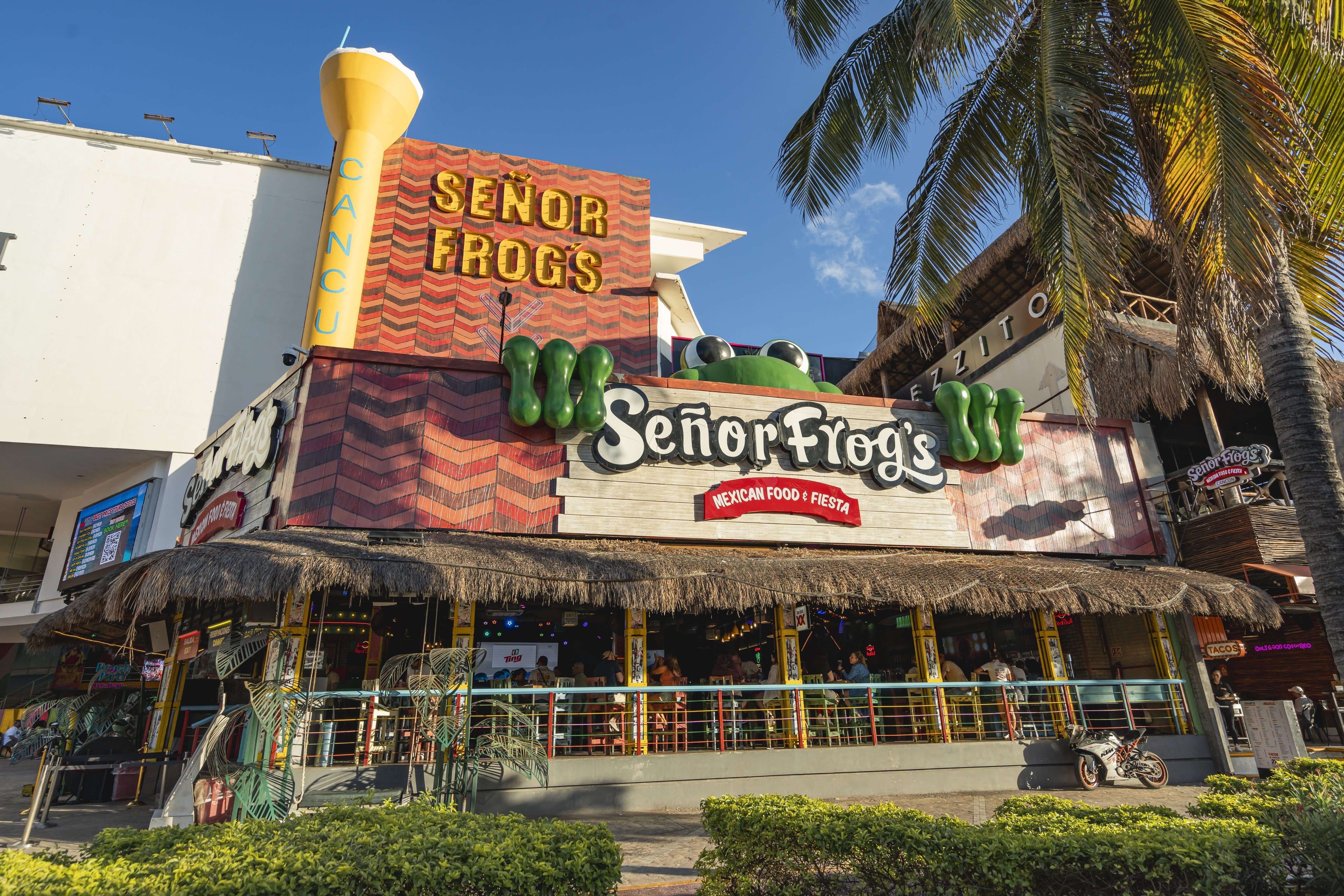 Passe Frog's Cancun