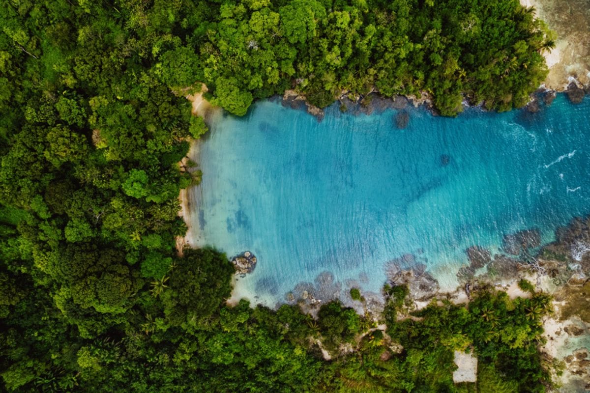 Excursión de un día a San Blas