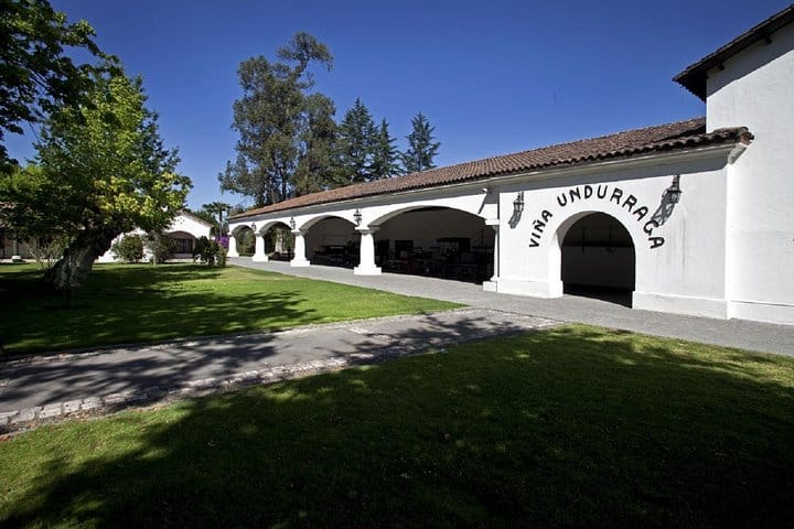 Cata de vinos en Undurraga desde Santiago