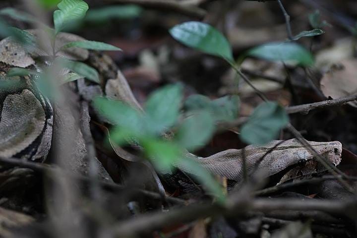 Tour de aventura de 6 días en el Amazonas