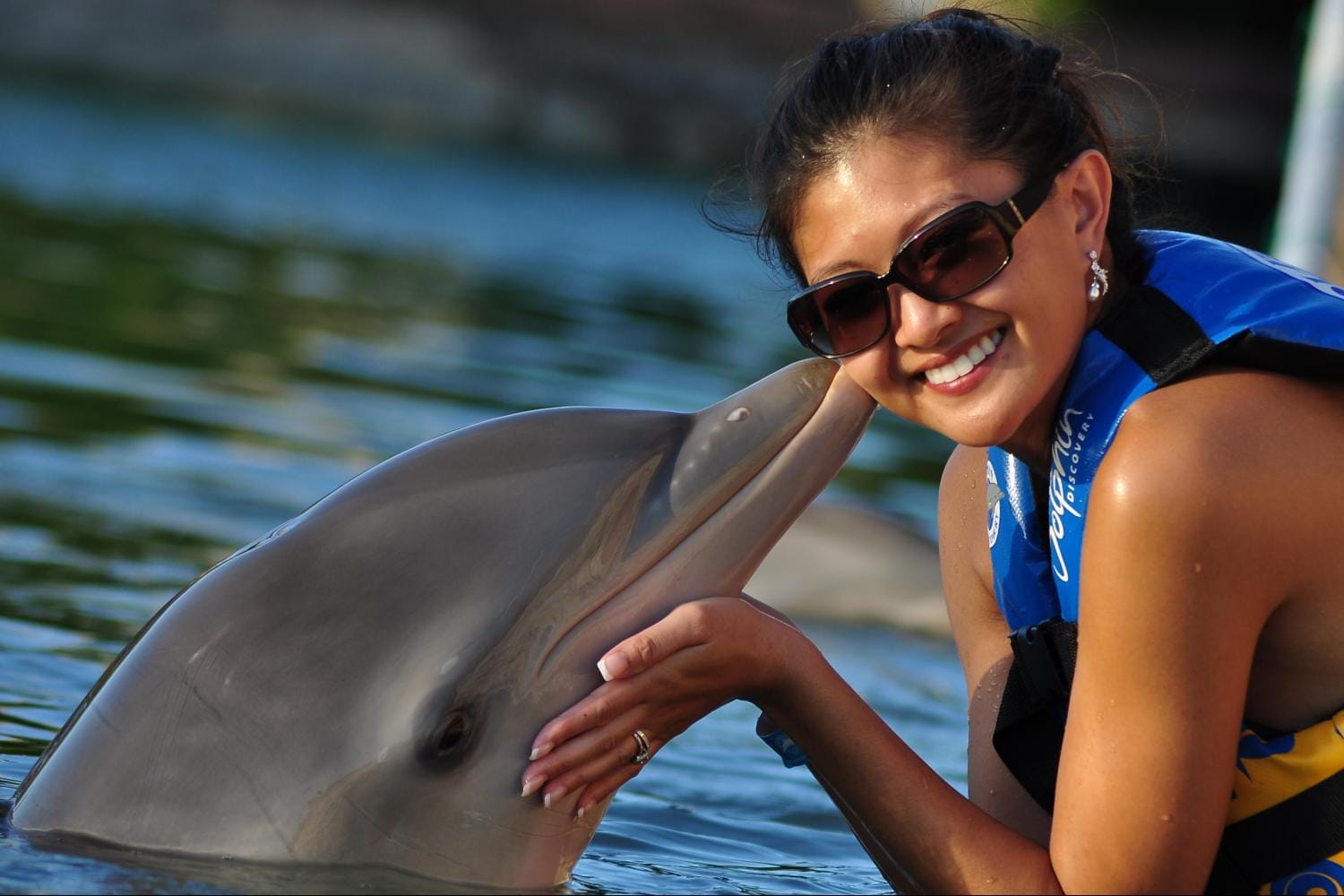 Dolphin Encounter en Puerto Aventuras