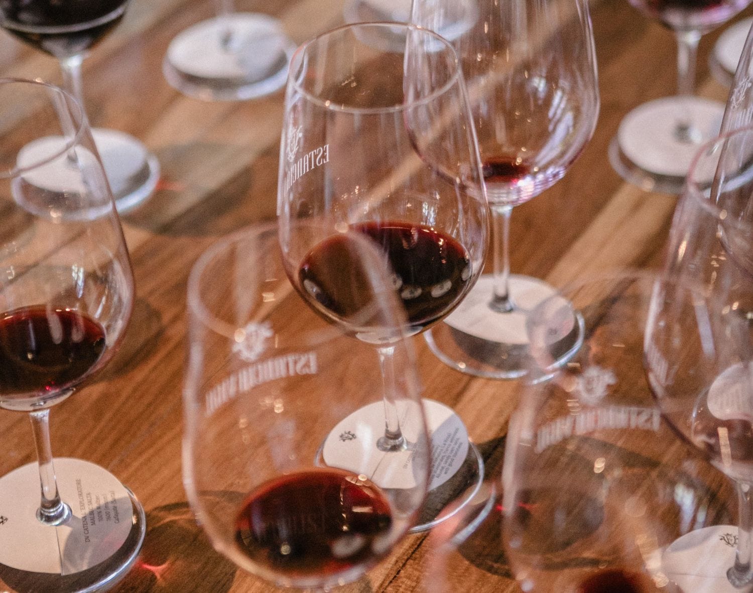 Estancia Vigil: experiência do vinho
