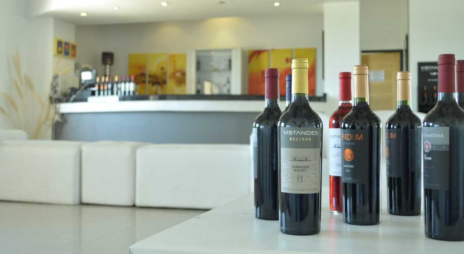 Mendoza entre viñedos con almuerzo