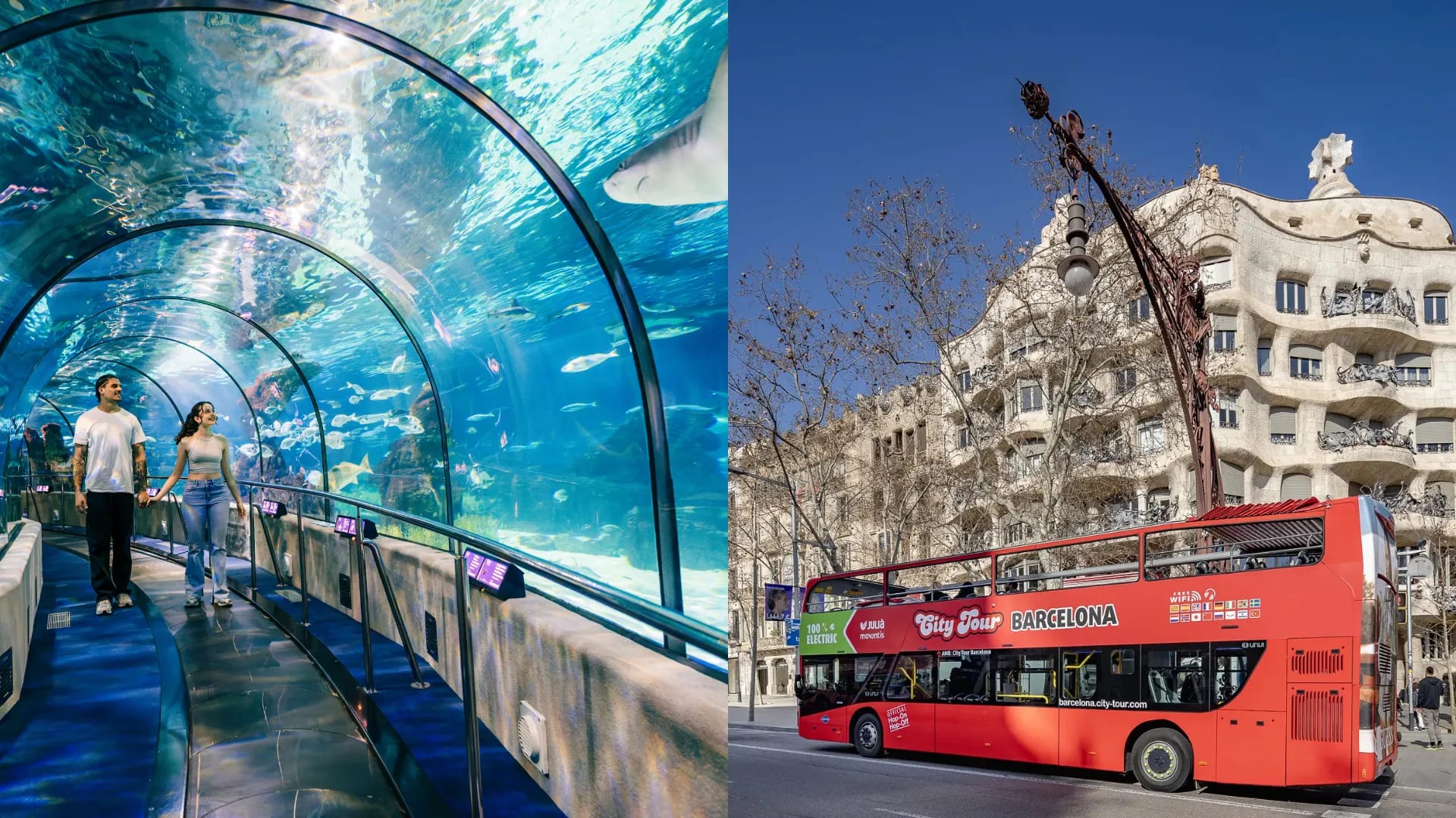 Bus turístico + Aquarium
