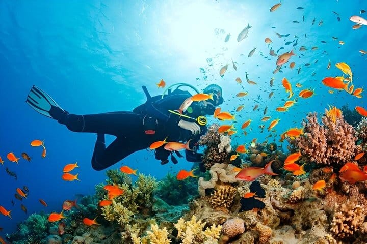 Snorkeling & Diving by Boat in Hurghada