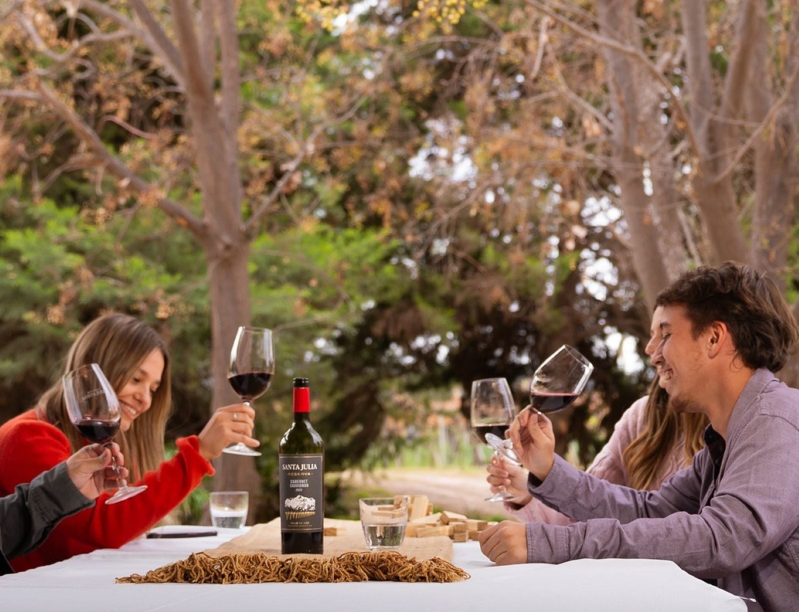 Vinhos, vinhedos e piquenique