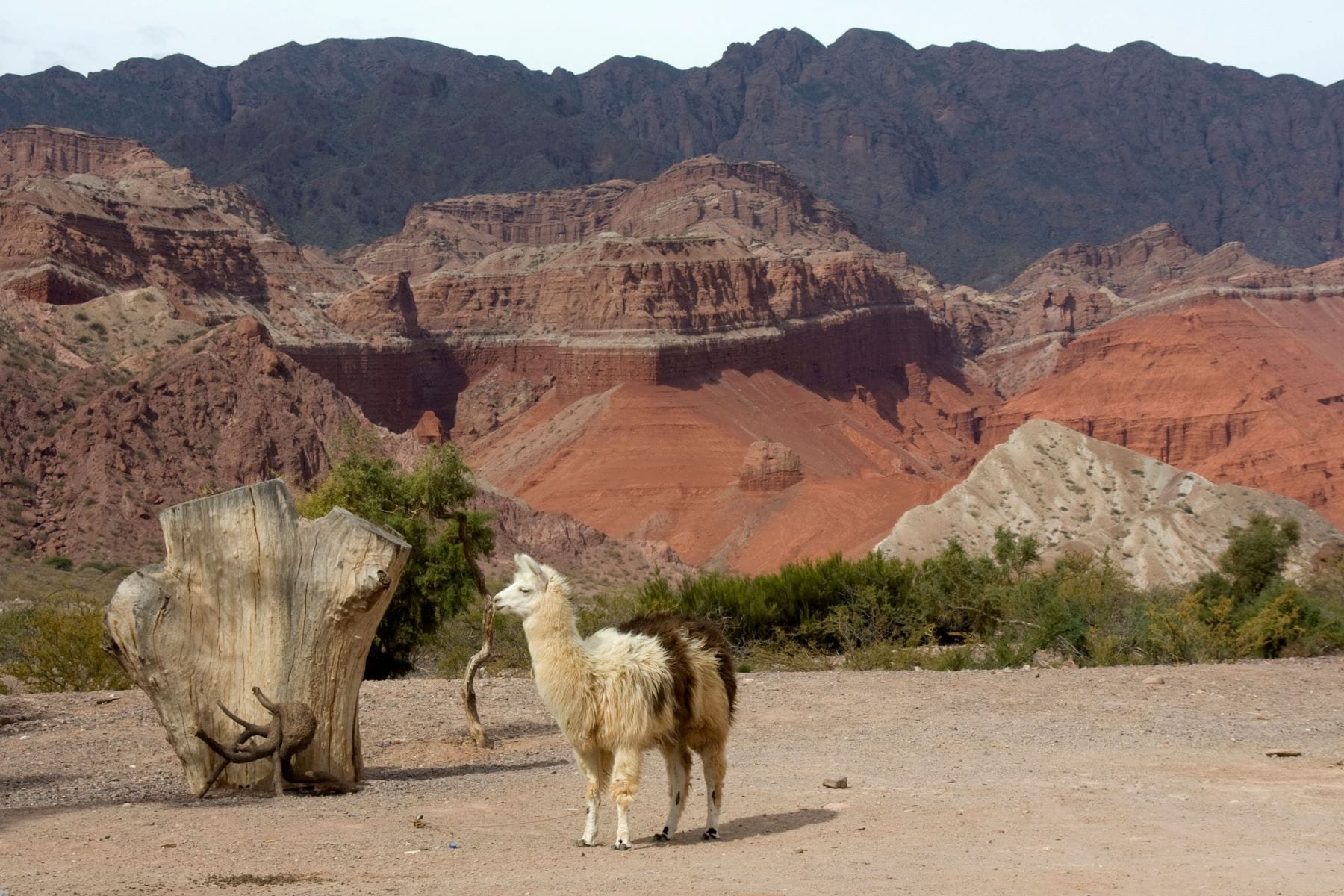 Cafayate y los Valles Calchaquíes