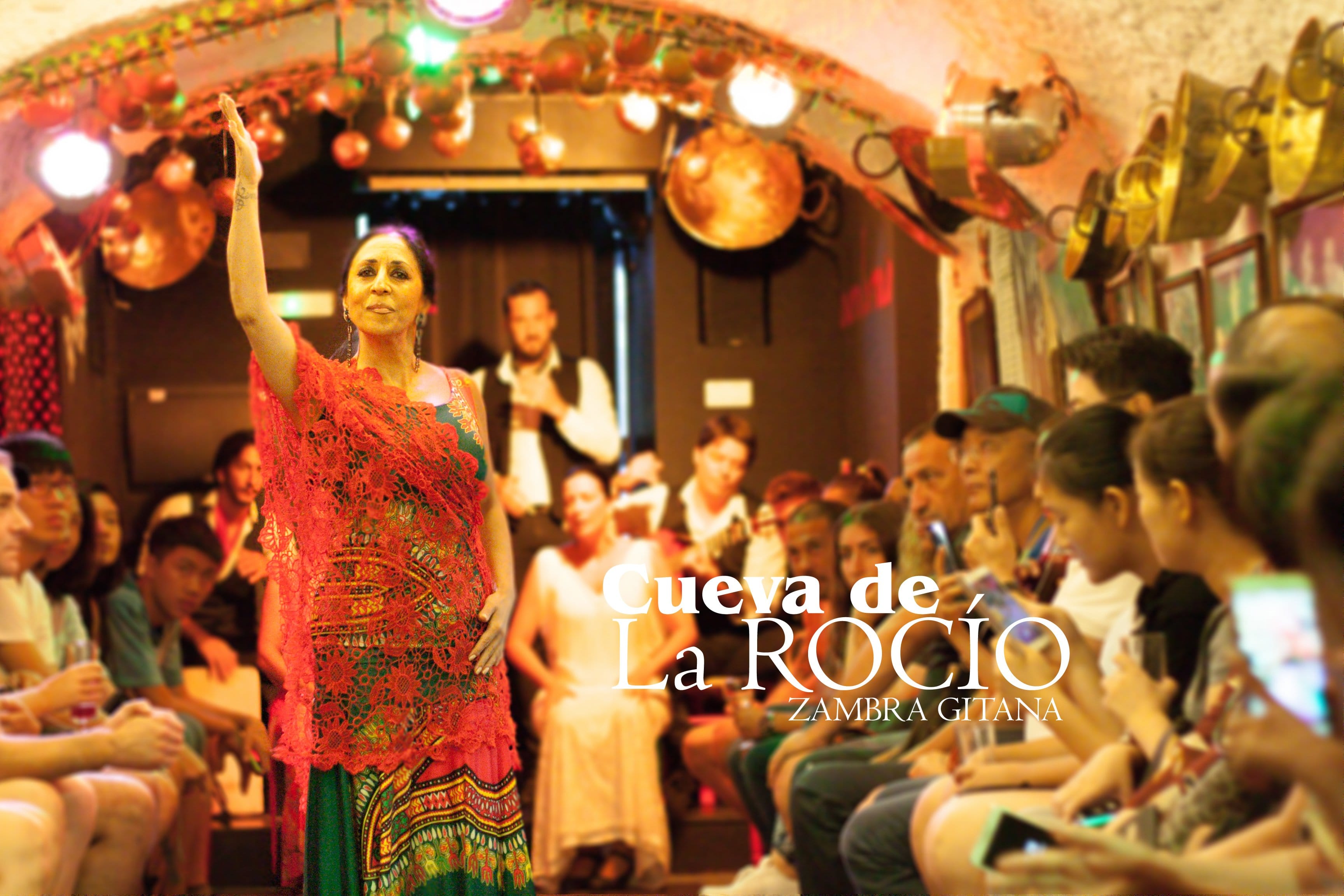 Show de flamenco en Granada