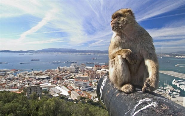 Paseo a Gibraltar