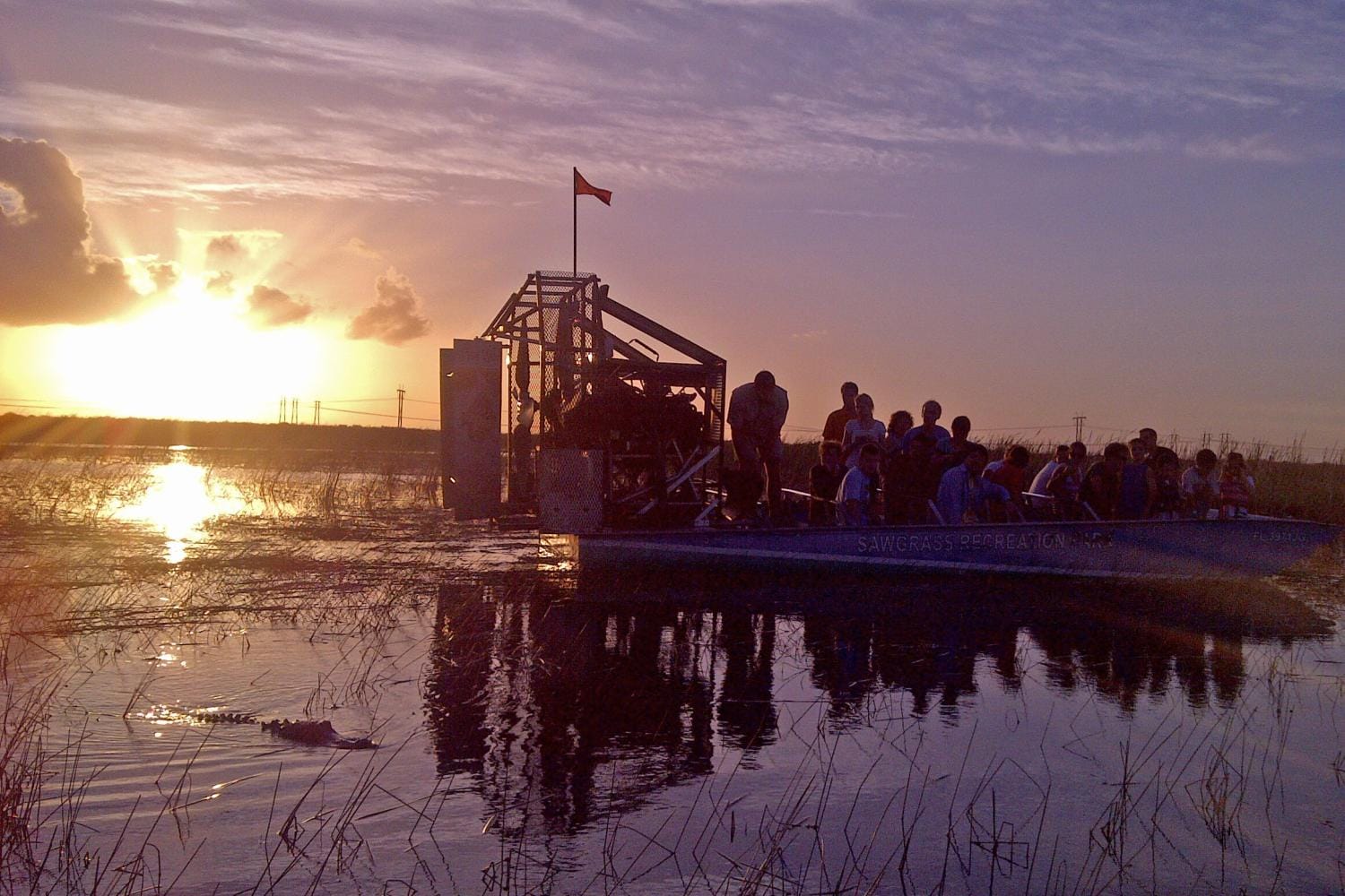 Everglades nocturno: Parque Sawgrass