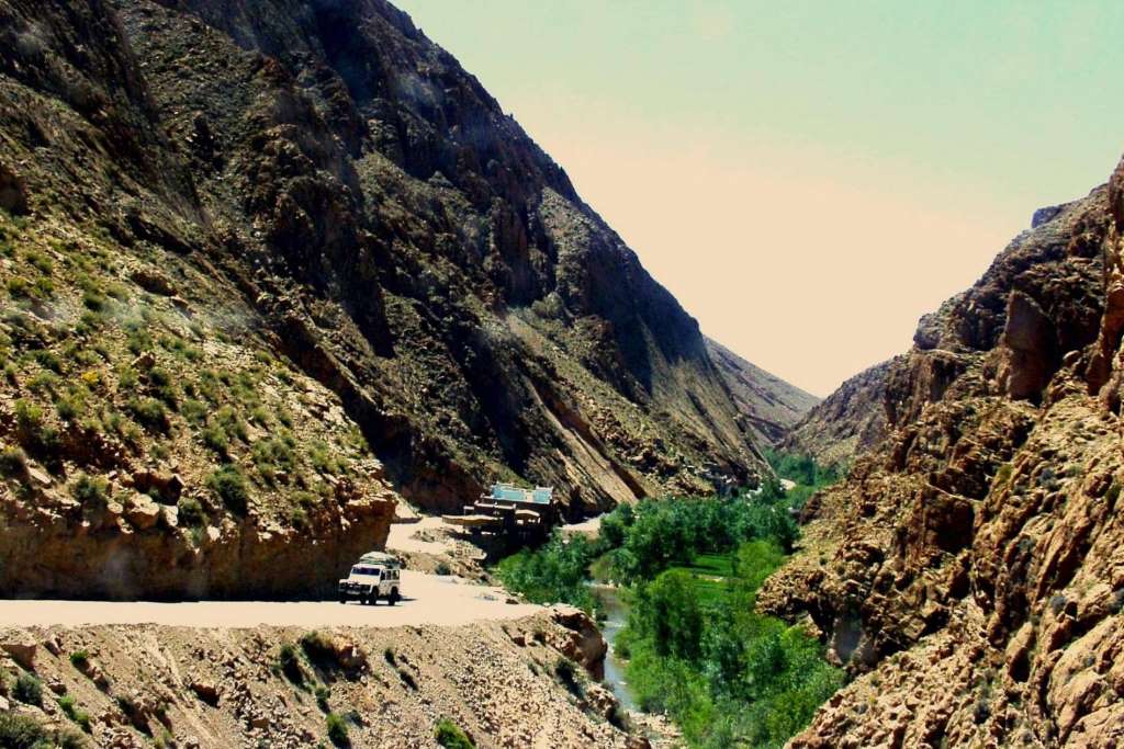 El Camino Berber