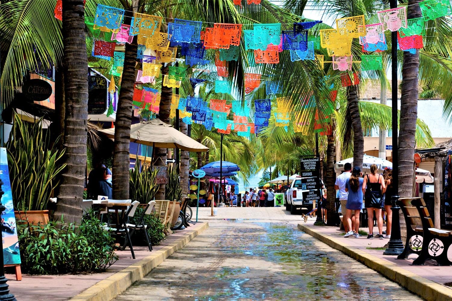 Tour La vida es una playa en Sayulita