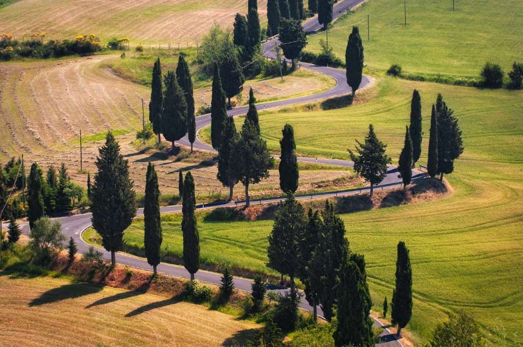 Chianti Classico, Montalcino, Montepulciano