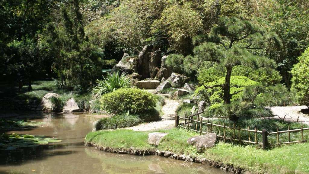 Visita guiada ao Jardim Botânico