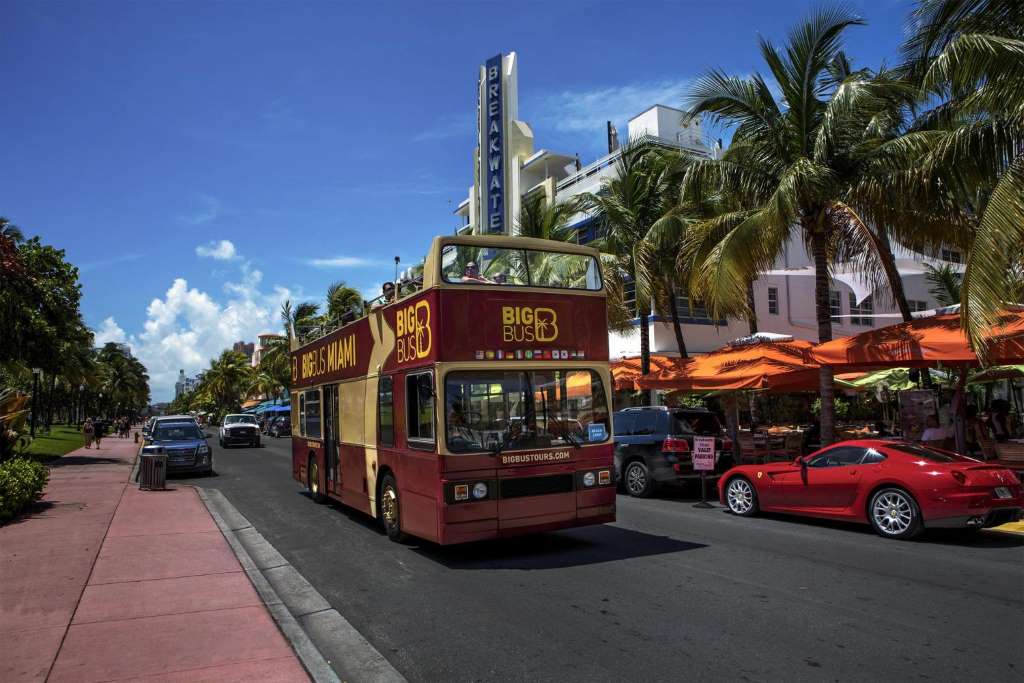 Bus Hop-on Hop-off: todos los circuitos