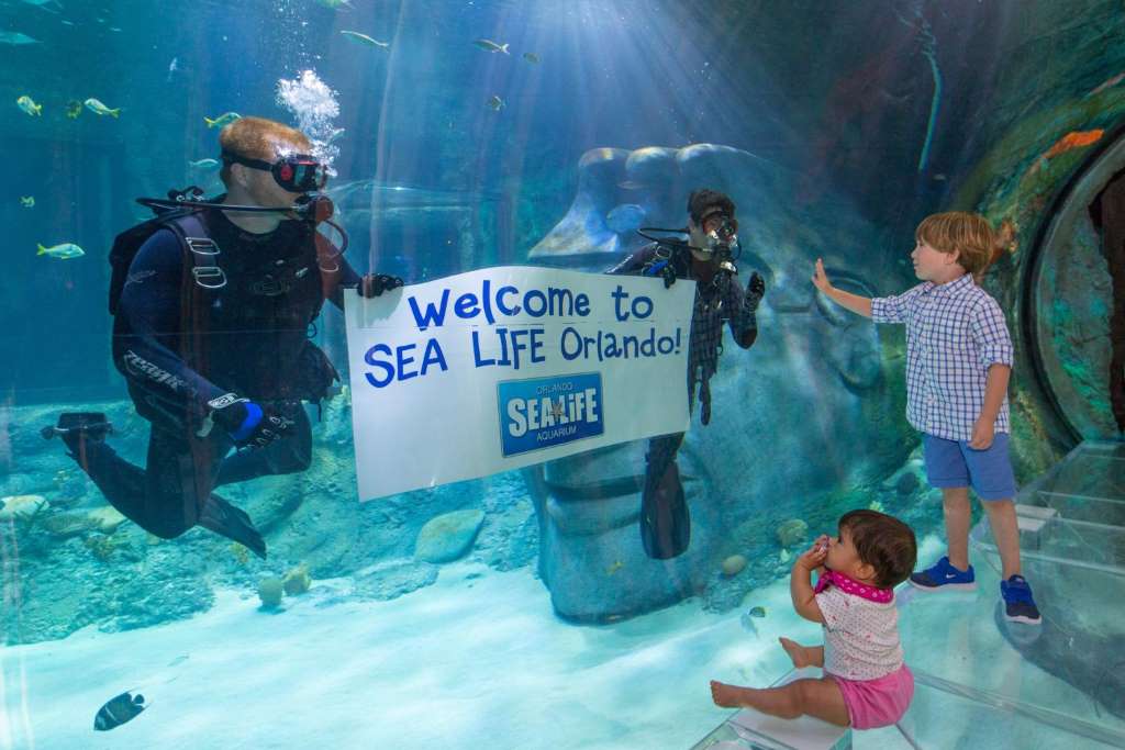 SEALIFE: Standard Admission
