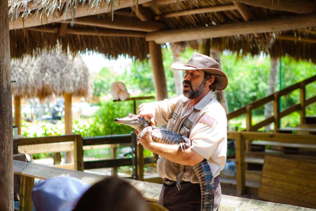 Aventura en Aerobote por los Everglades