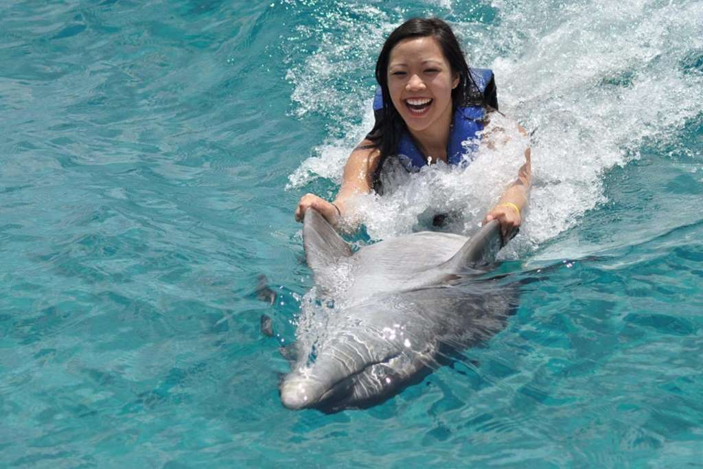 Nado con Delfines Adventure Swim