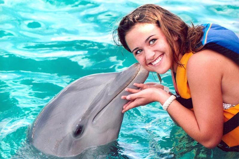 Dolphin Royal Swim: nado con delfines