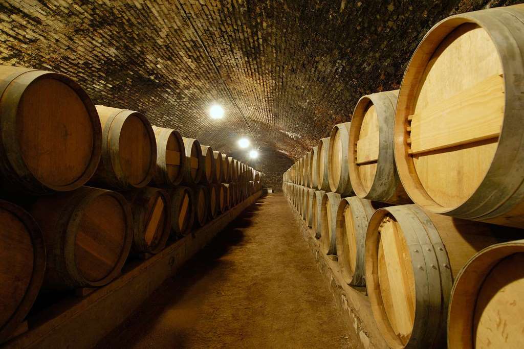 Bodegas Concha y Toro