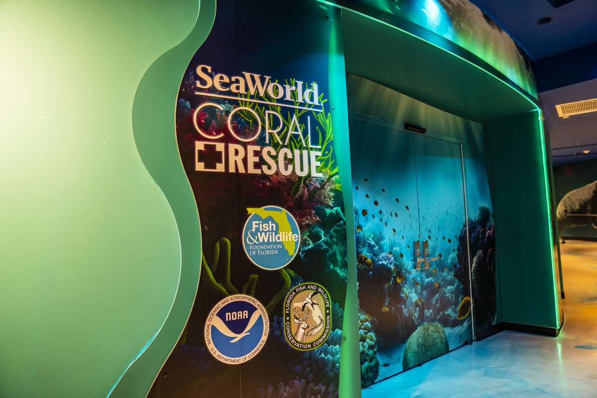 SeaWorld Orlando Parks tickets - Imagen 4