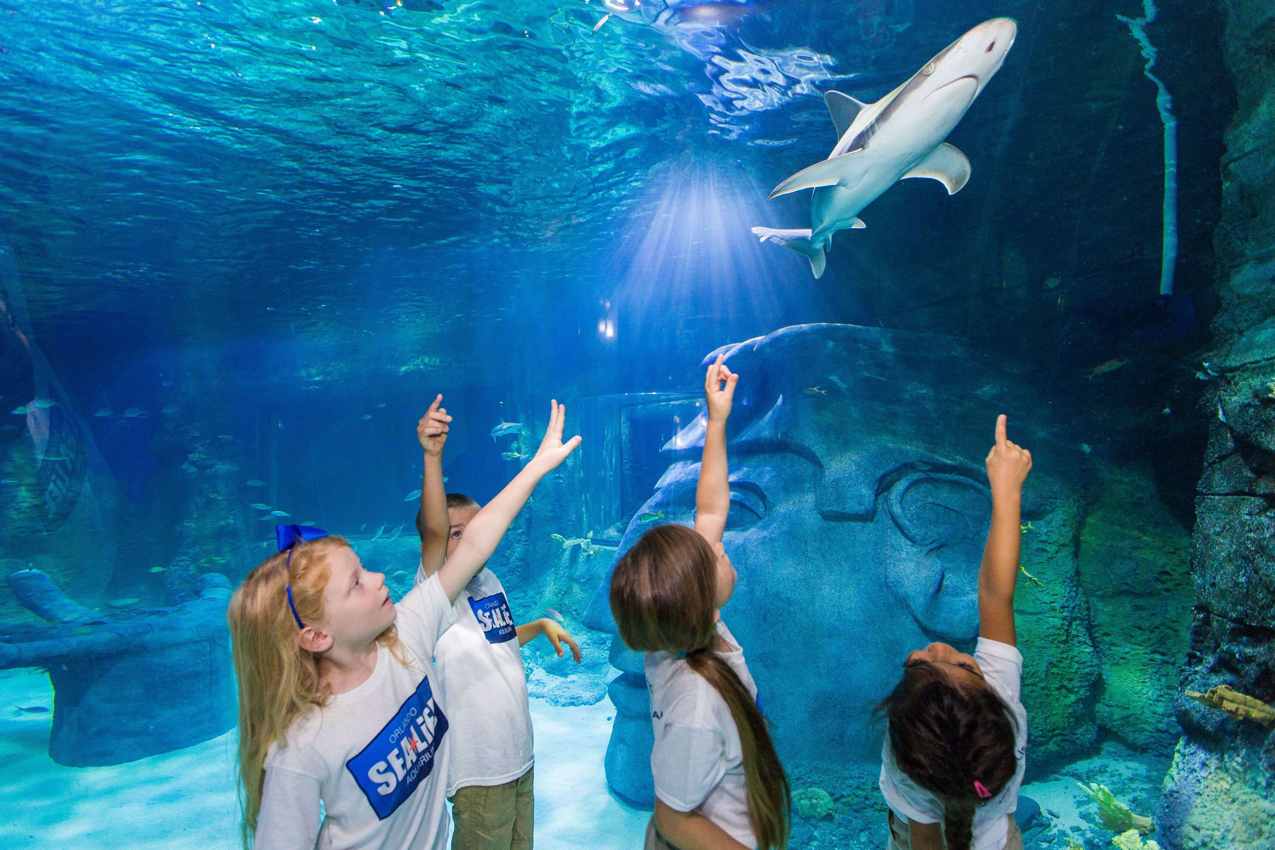 Ingresso combo Madame Tussauds e Sea Life - Imagen 4