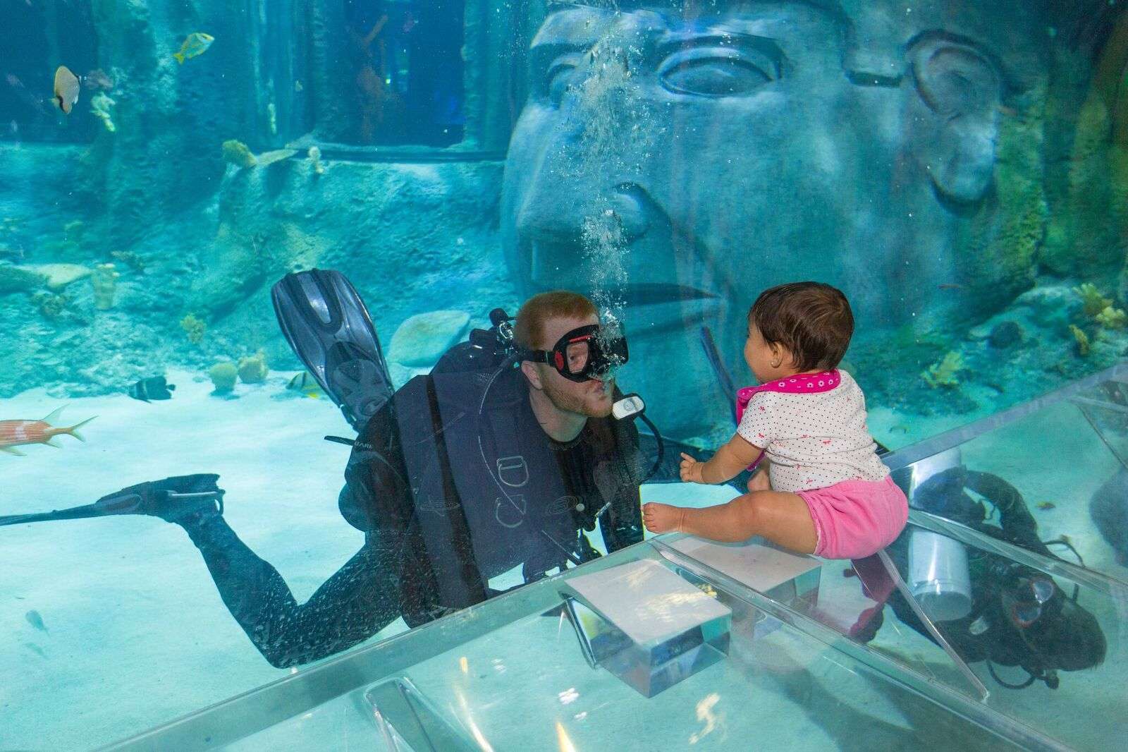 Ingresso combo Madame Tussauds e Sea Life - Imagen 3