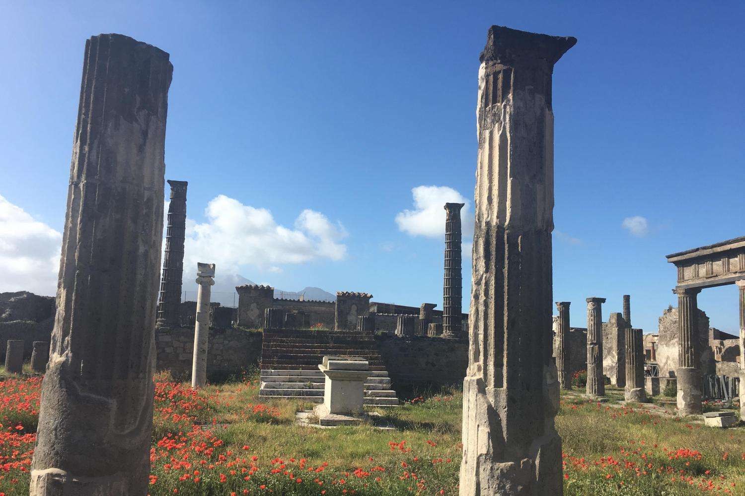 Pompeya y Vesubio con pizza napolitana - Imagen 3