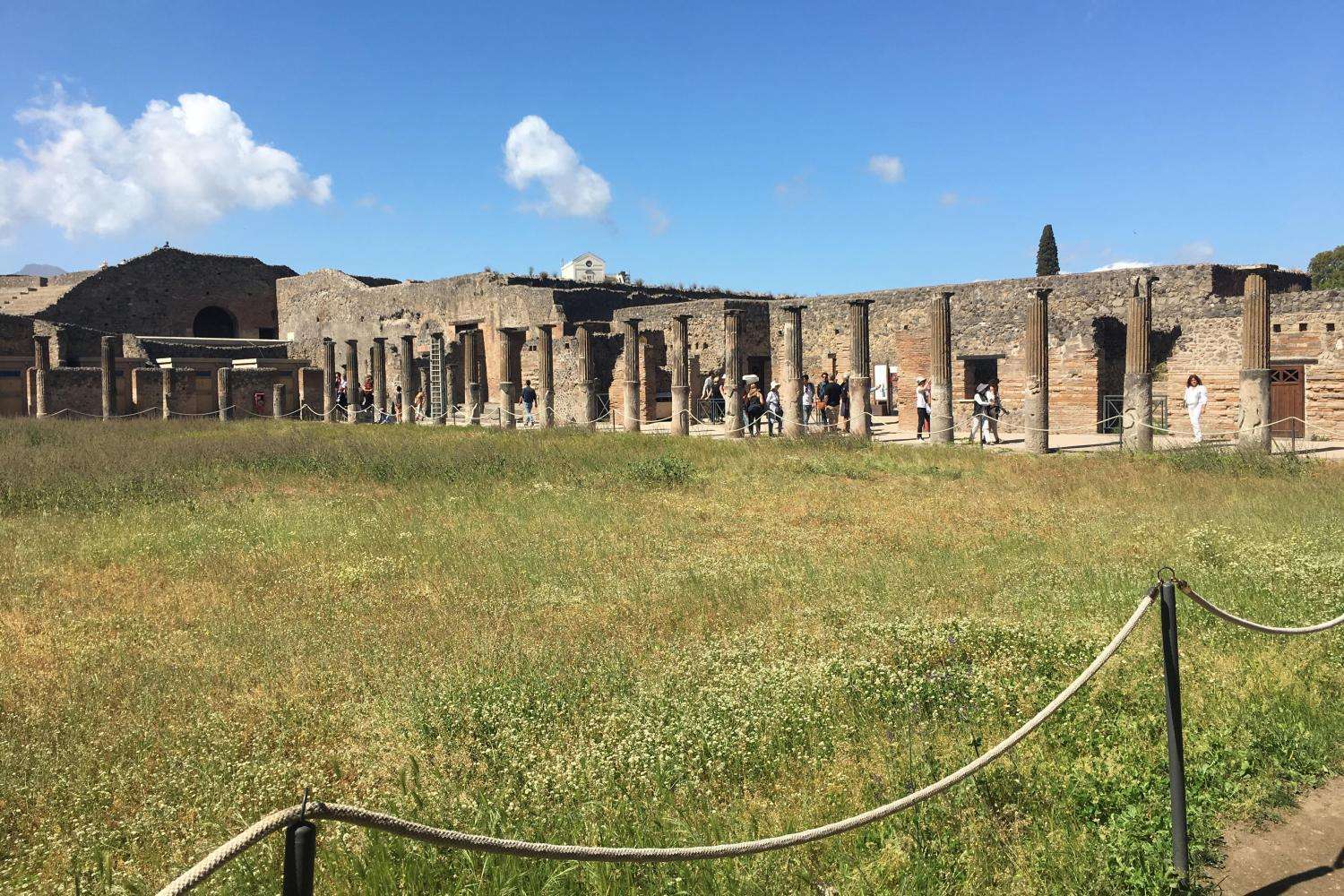 Pompeya y Vesubio con pizza napolitana - Imagen 4