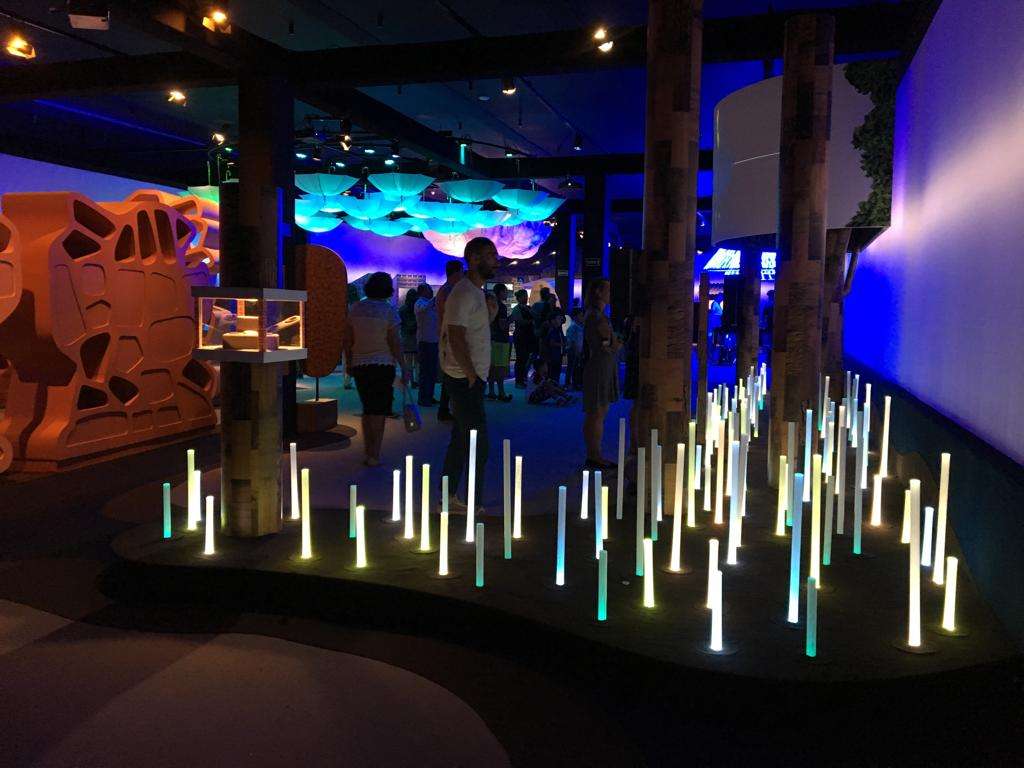 Aqua Rio and Museum of Tomorrow - Imagen 4