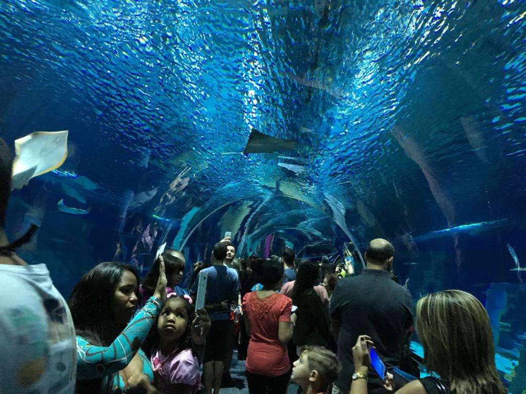 Aqua Rio and Museum of Tomorrow - Imagen 2