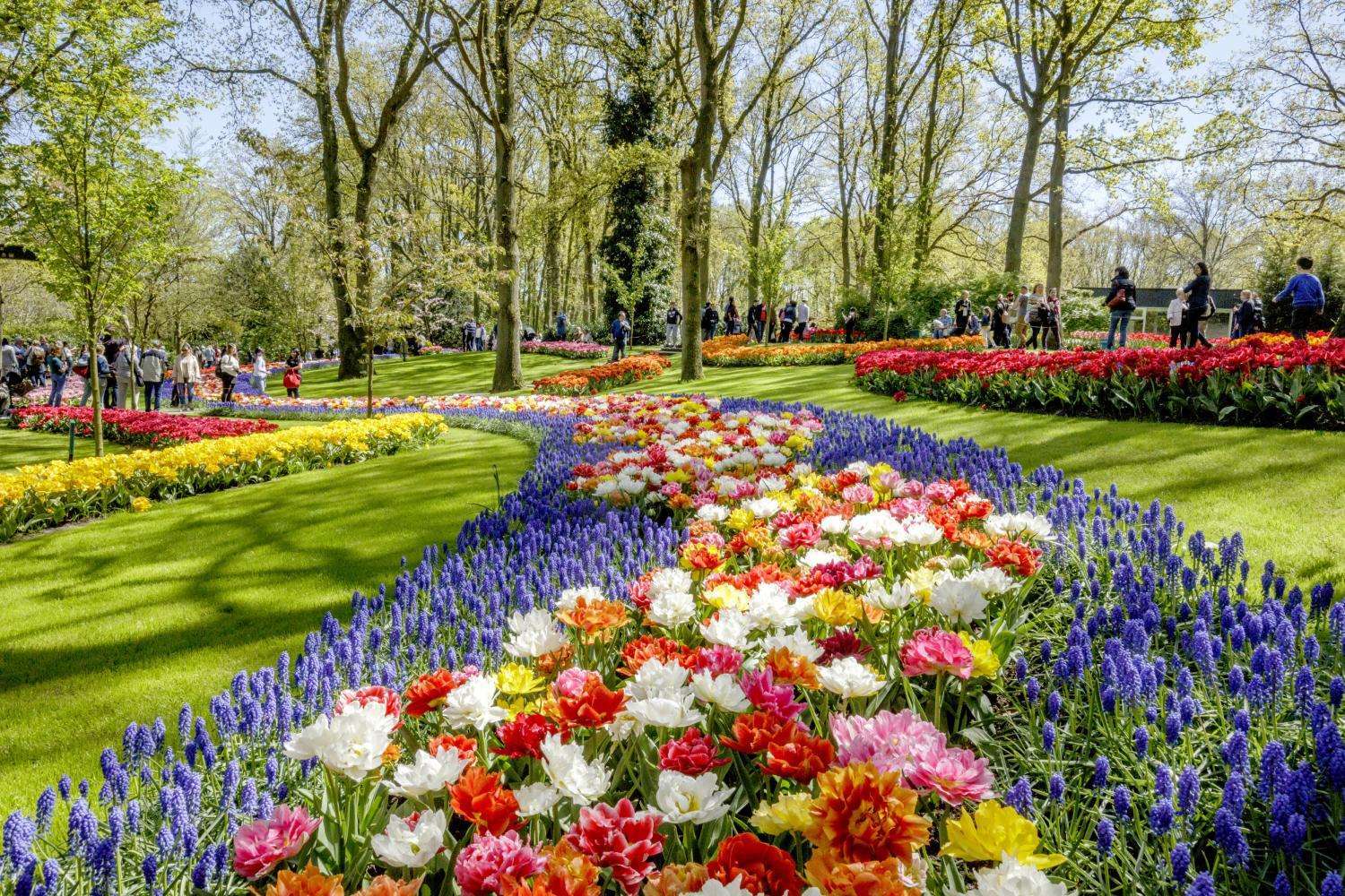 Keukenhof: traslado audioguiado y crucero - Imagen 3