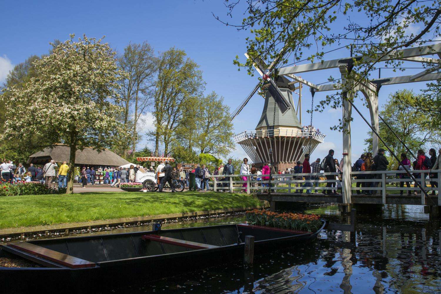 Keukenhof por la tarde desde Ámsterdam - Imagen 3