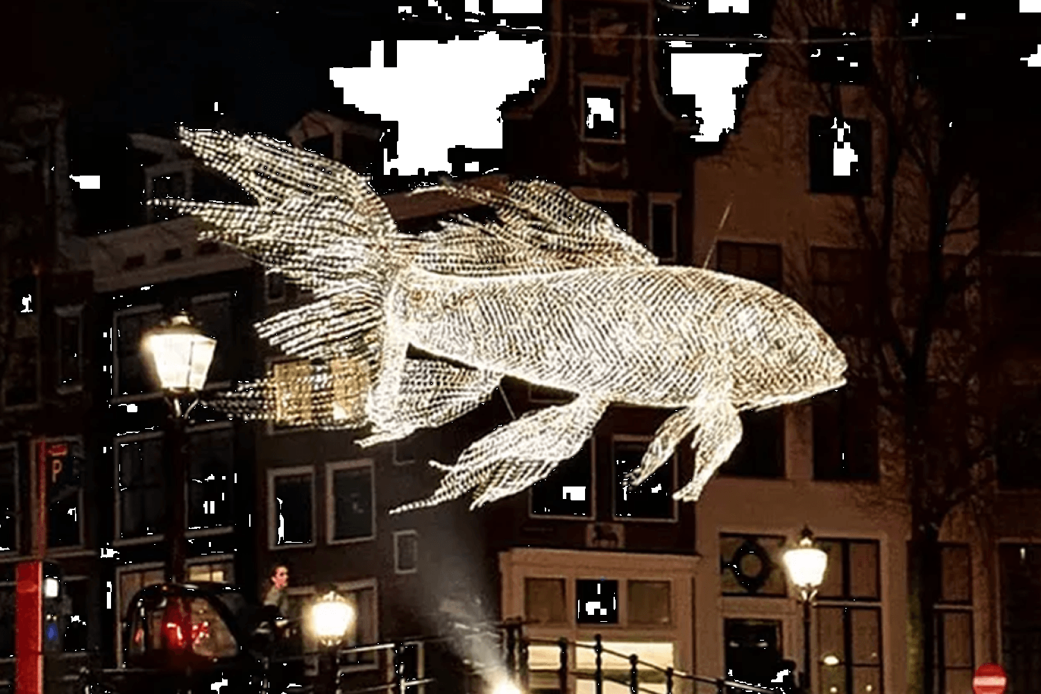 Crucero Light Festival con bebidas - Imagen 3