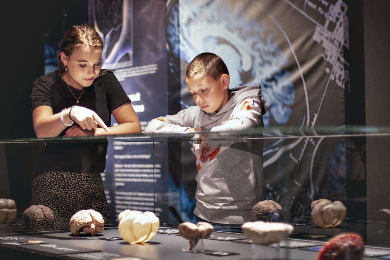 Body Worlds y crucero por el canal - Imagen 3