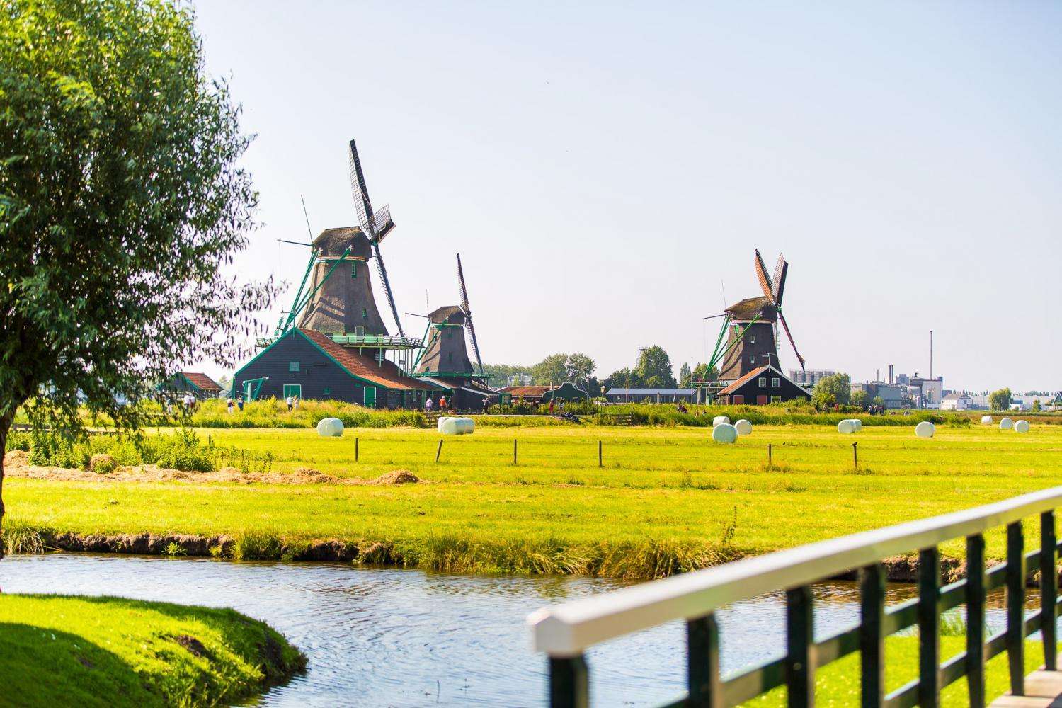 Super Combo: Keukenhof, molinos y campo - Imagen 3