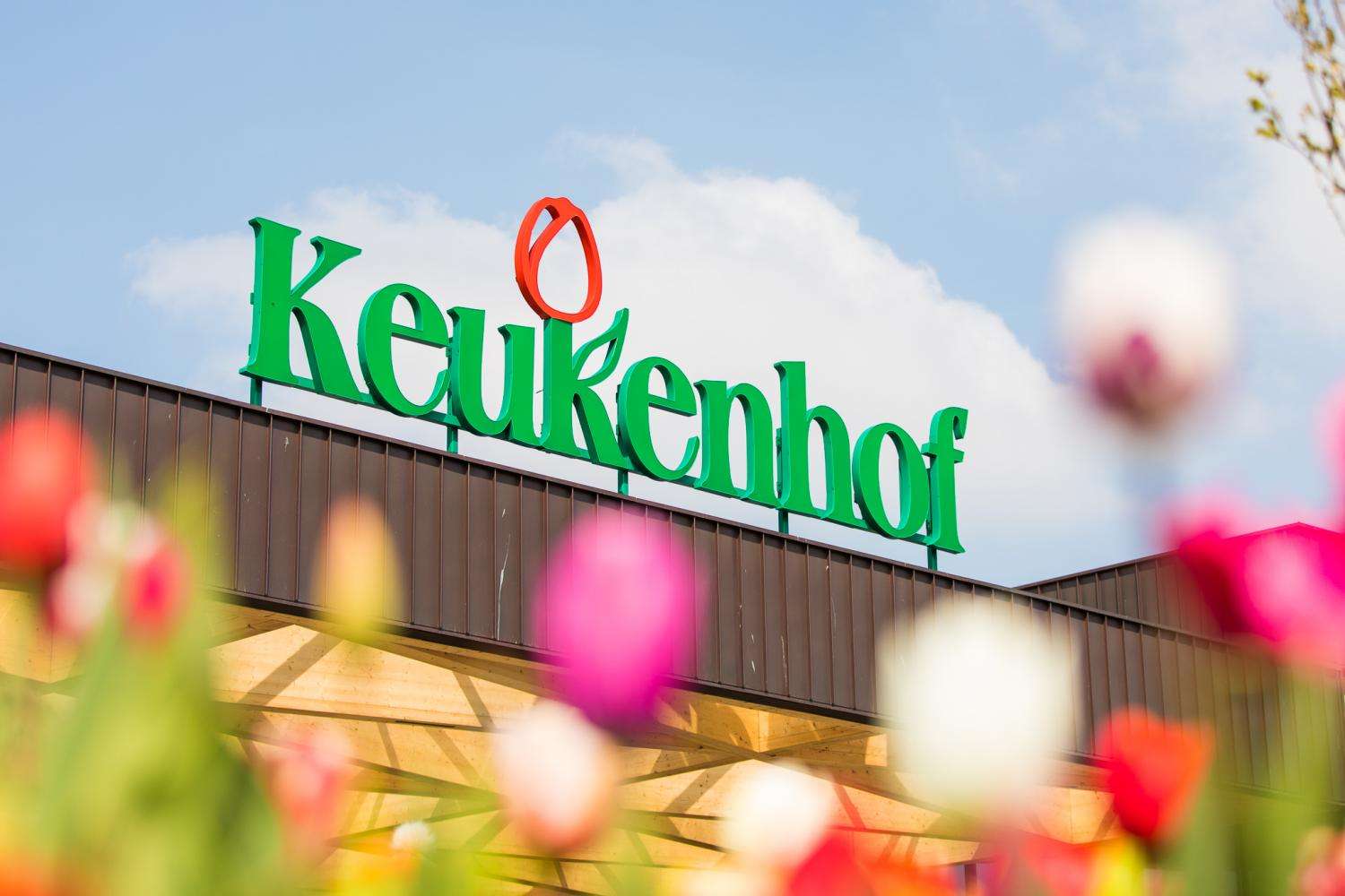 Keukenhof: entrada y traslado directo - Imagen 3