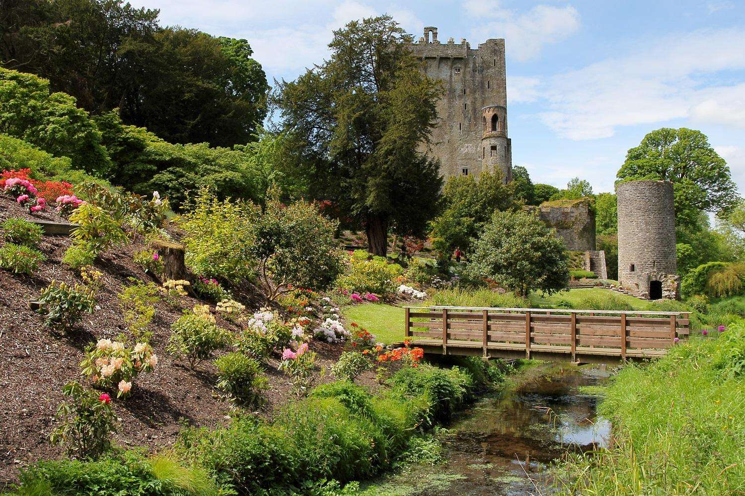 Castillo de Blarney y Cork en el día - Imagen 4