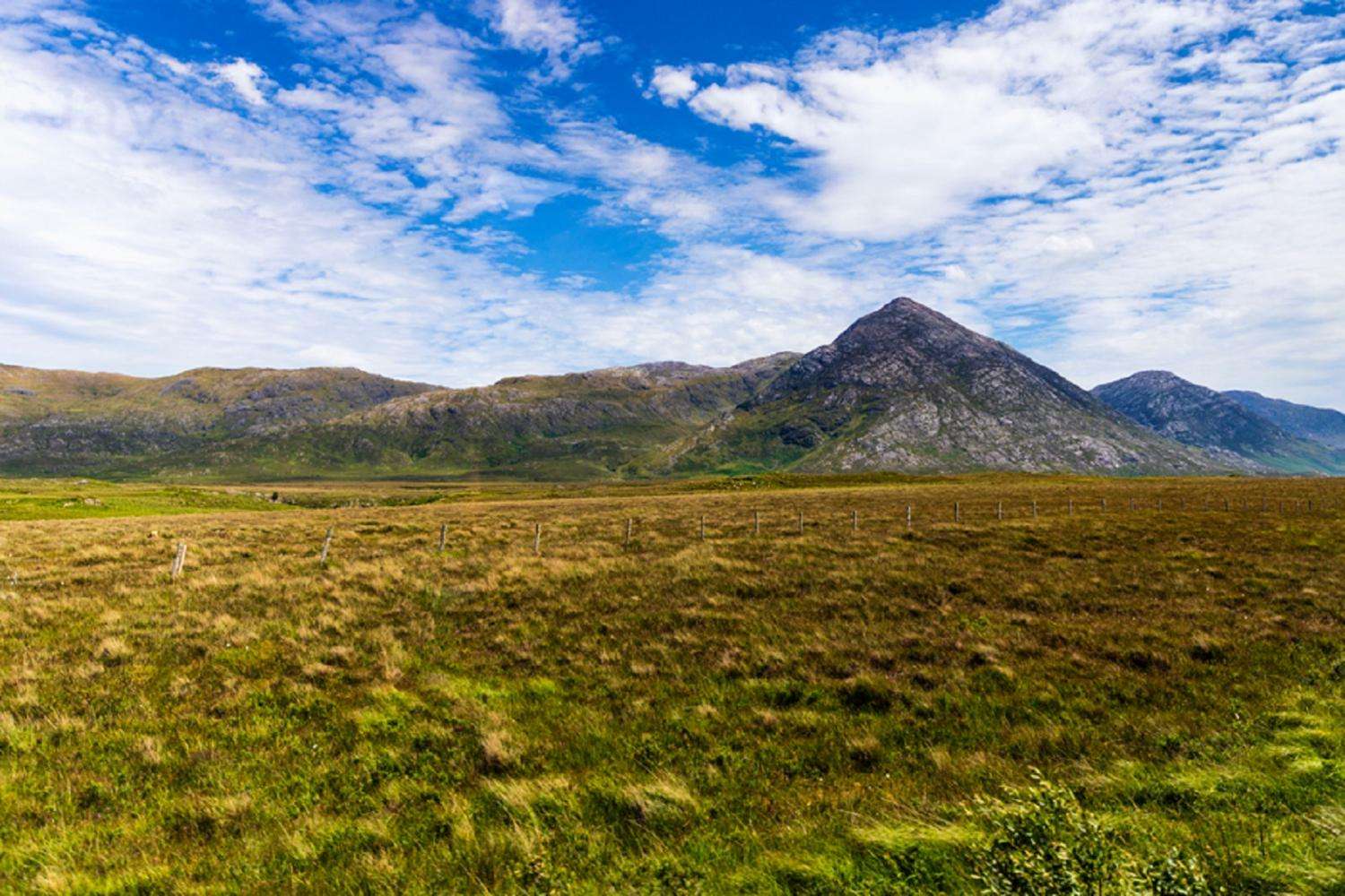 Connemara, fiordo de Killary y Galway - Imagen 3