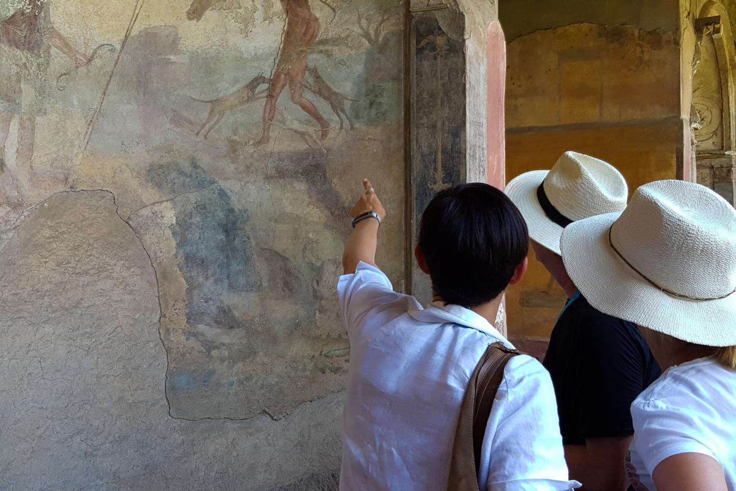Pompeya y Vesubio con acceso prioritario - Imagen 3